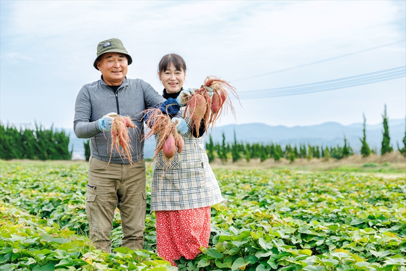 西浜いも『紅はるか』について